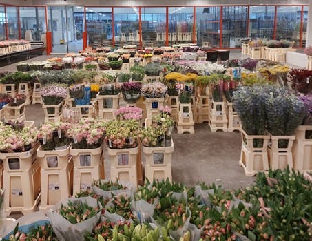 Afbeelding van snijbloemen in onze snijbloemen afdeling